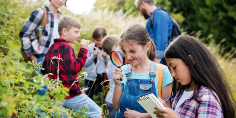 Students on a field trip photographing what they see